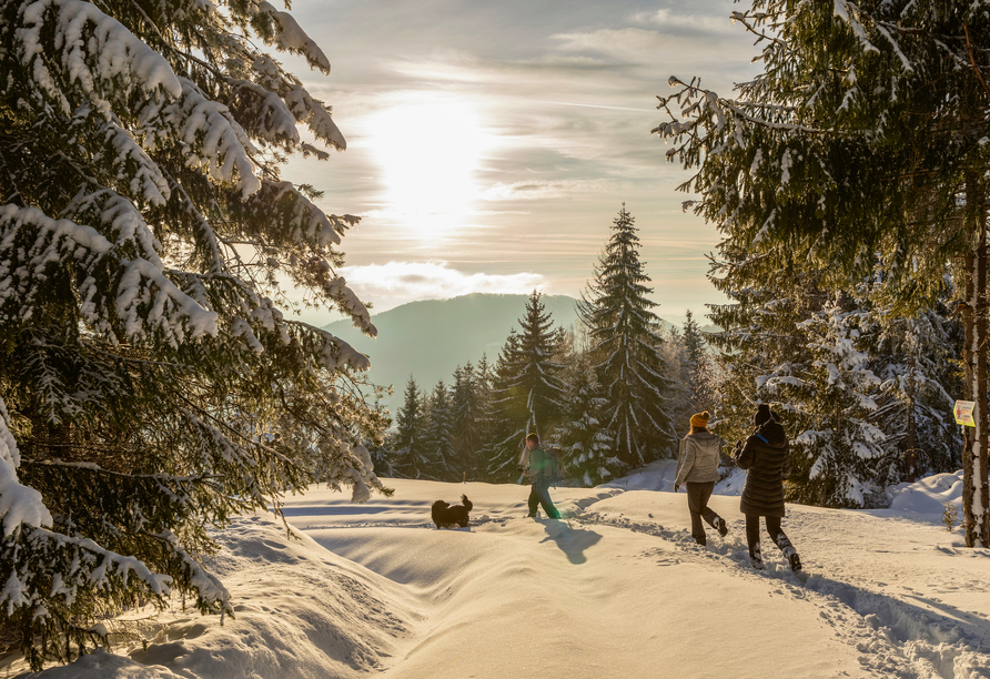 Spazieren Sie durch den verschneiten Bayerischen Wald.