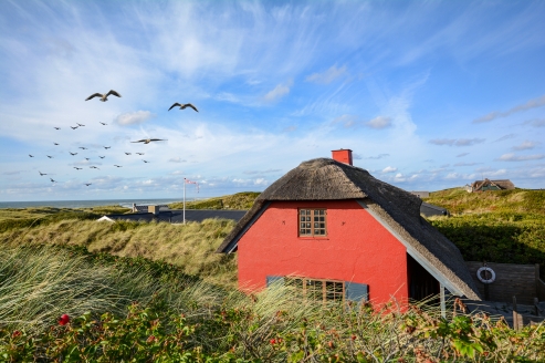Sonne, Sand und skandinavisches Lebensgefühl – willkommen zu Ihrem Sommerurlaub in Dänemark!