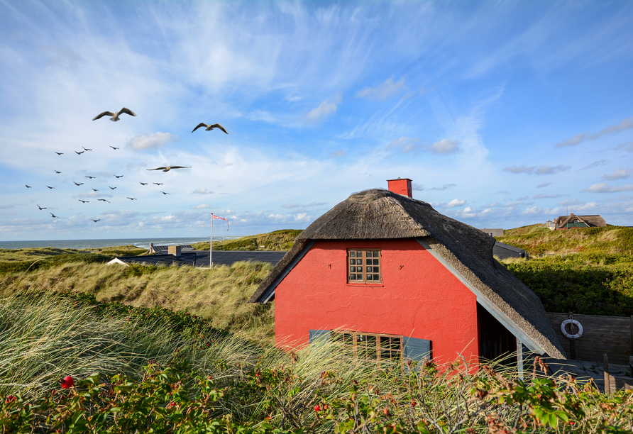 Sonne, Sand und skandinavisches Lebensgefühl – willkommen zu Ihrem Sommerurlaub in Dänemark!