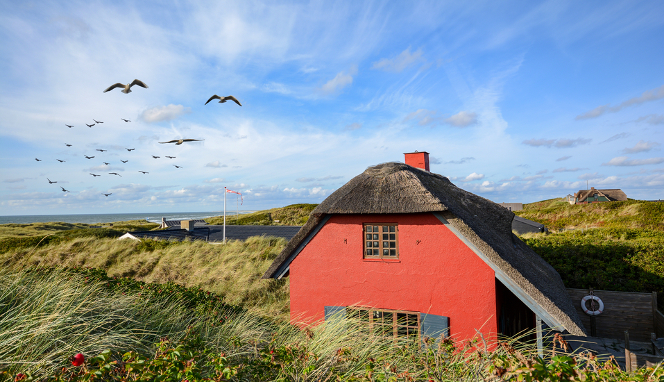 Sonne, Sand und skandinavisches Lebensgefühl – willkommen zu Ihrem Sommerurlaub in Dänemark!