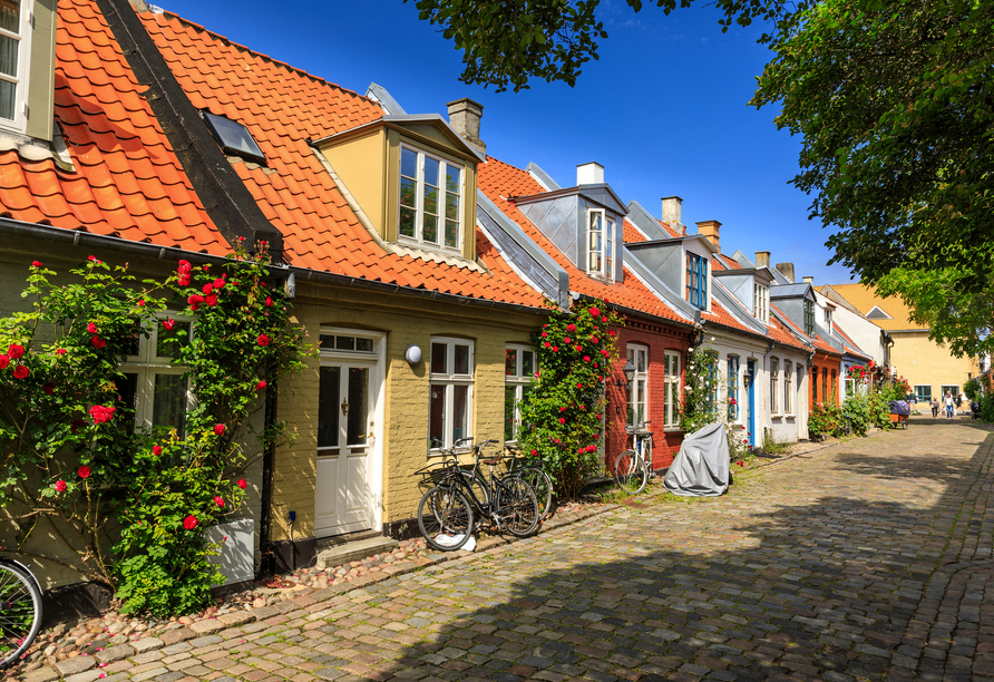 Bunte Häuser, blühende Rosen und Kopfsteinpflaster machen die Møllestien-Straße zu einem besonders charmanten Ort in Aarhus.