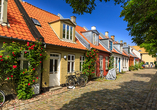 Bunte Häuser, blühende Rosen und Kopfsteinpflaster machen die Møllestien-Straße zu einem besonders charmanten Ort in Aarhus.