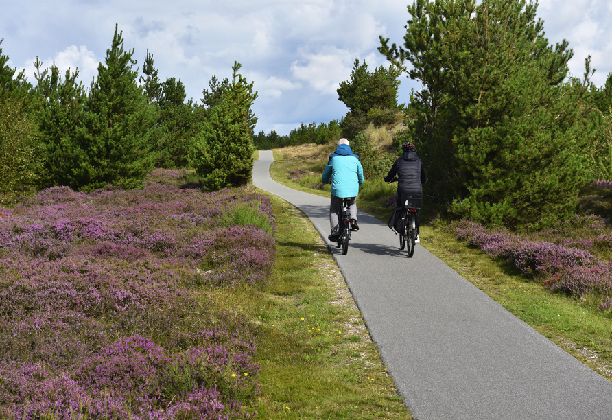Auf dem Fahrrad lässt sich die abwechslungsreiche Landschaft der Lüneburger Heide besonders schön erkunden.