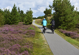 Auf dem Fahrrad lässt sich die abwechslungsreiche Landschaft der Lüneburger Heide besonders schön erkunden.
