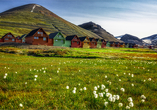 Bunte Holzhäuser in Longyearbyen auf Spitzbergen