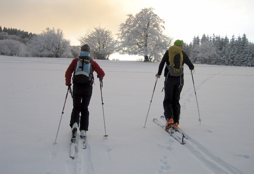 Die Region rund um Ihr Resort bietet sich im Winter wunderbar zum Langlaufen an. 