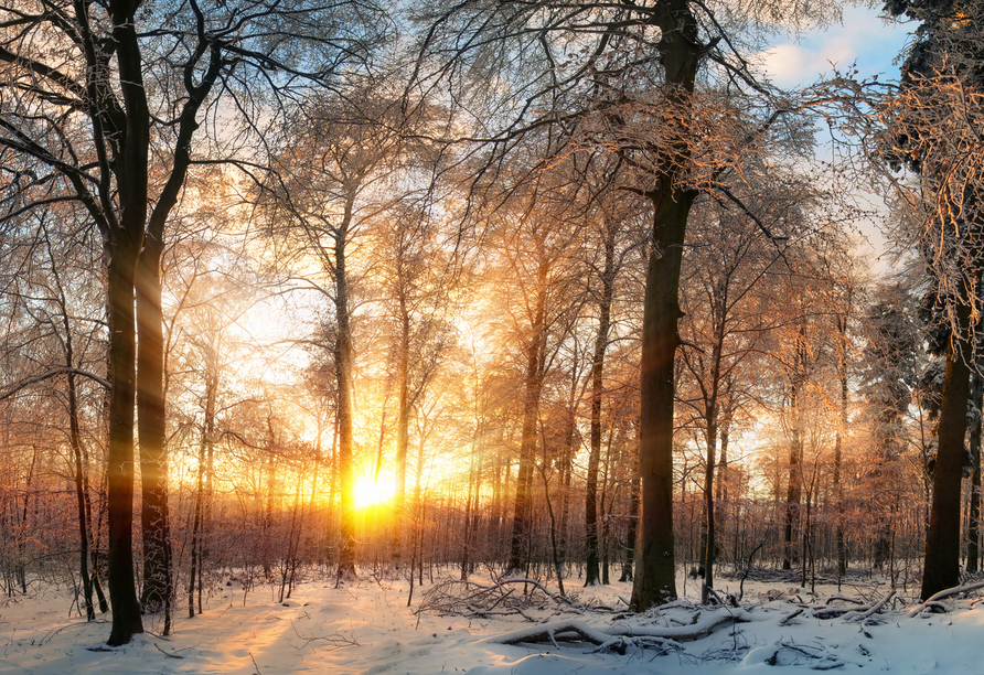 Lassen Sie sich von herrlichen Winterlandschaften verzaubern.