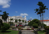 Ihr Hotel liegt direkt in der Altstadt von Panama City, sodass Sie Sehenswürdigkeiten wie das Nationaltheater bequem zu Fuß erkunden können.