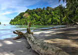 Traumhaft schöne Strände erwarten Sie in Panama, wie hier auf der Isla Parida.