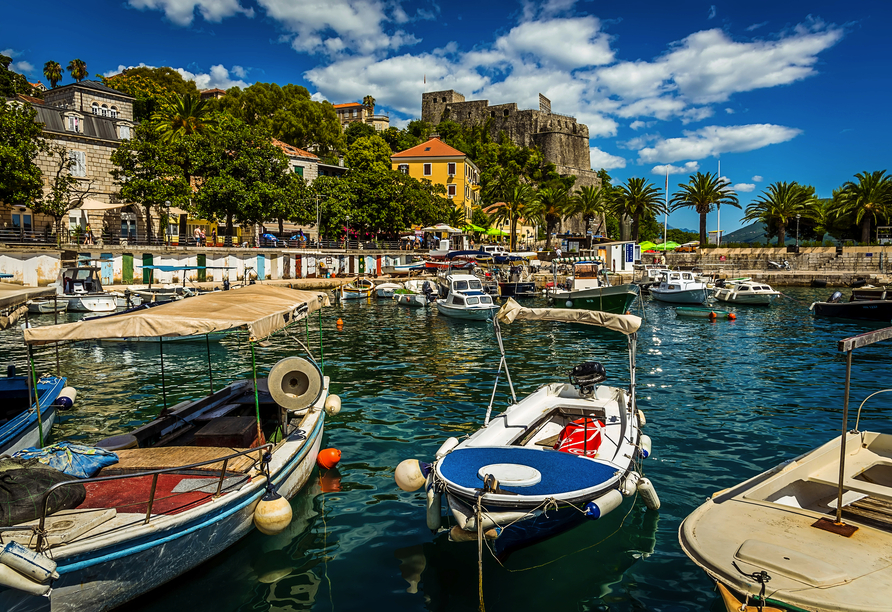 Freuen Sie sich auf Ihren Urlaubsort Herceg Novi.