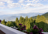 Genießen Sie die Aussicht vom Balkon Ihres Familienzimmers
