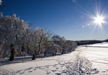 Lassen Sie sich von den verschneiten Winterlandschaften in den Bann ziehen.
