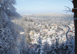 Freuen Sie sich auf einen unvergesslichen Urlaub in Friedrichroda.