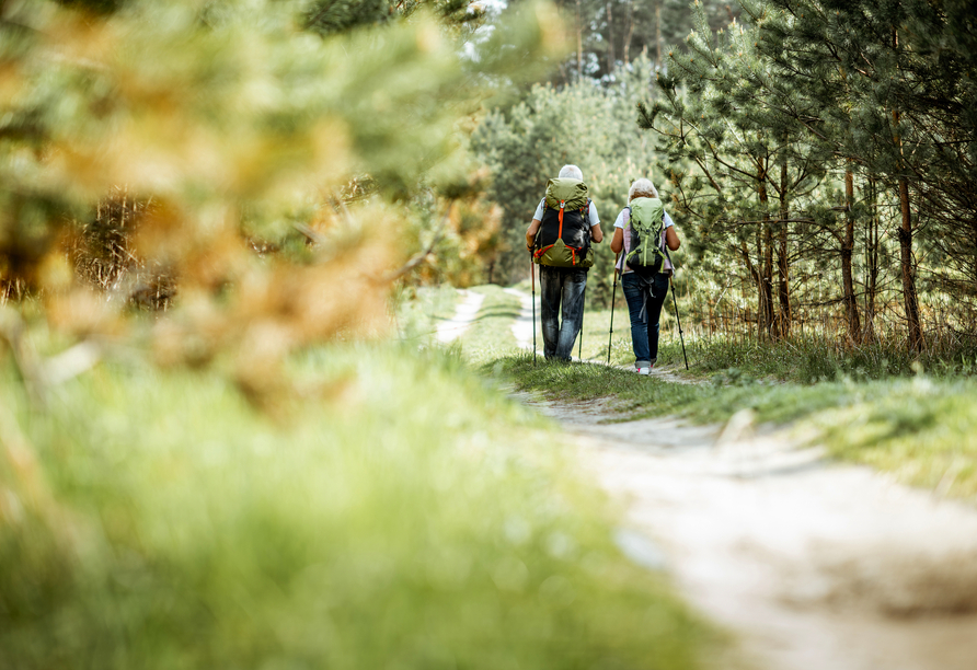 Der Naturpark Teutoburger Wald und Eggegebirge zählt zu den beliebtesten Wanderregionen in Nordrhein-Westfalen.