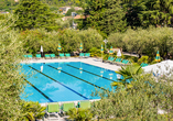 Außenpool des Park Hotels Oasi