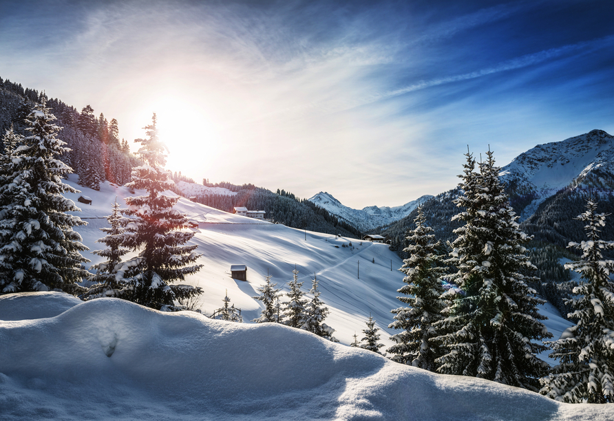 Die Alpen verzaubern im Winter jedermann.