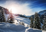 Die Alpen verzaubern im Winter jedermann.