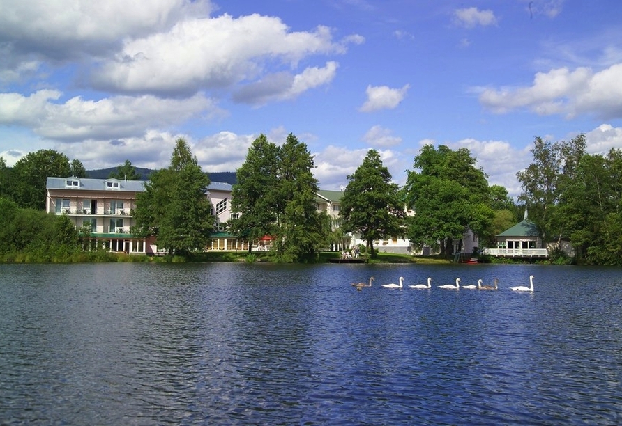Ihr Hotel liegt direkt am See.