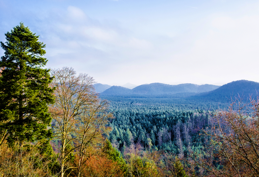 Das Naturschutzgebiet 