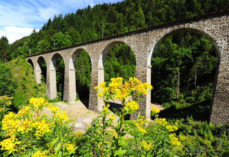 Unternehmen Sie eine Wanderung entlang der Ravennaschlucht mit ihren uralten Brücken und rauschenden Wasserfällen. 