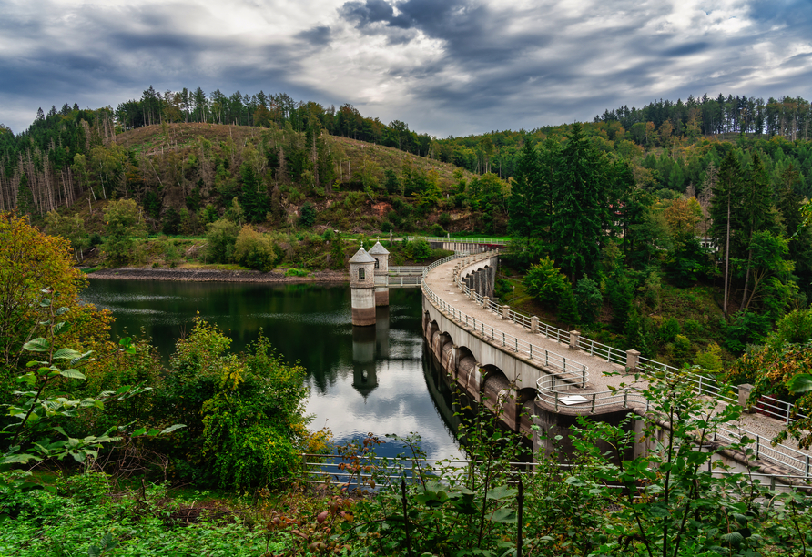 Die Talsperre Neustadt im Harz bietet atemberaubende Panoramen.