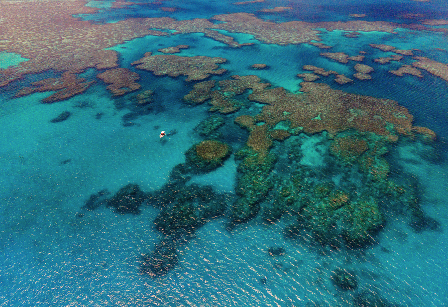 Freuen Sie sich auf eine eindrucksvolle Schifffahrt zum Great Barrier Reef.