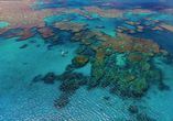 Freuen Sie sich auf eine eindrucksvolle Schifffahrt zum Great Barrier Reef.
