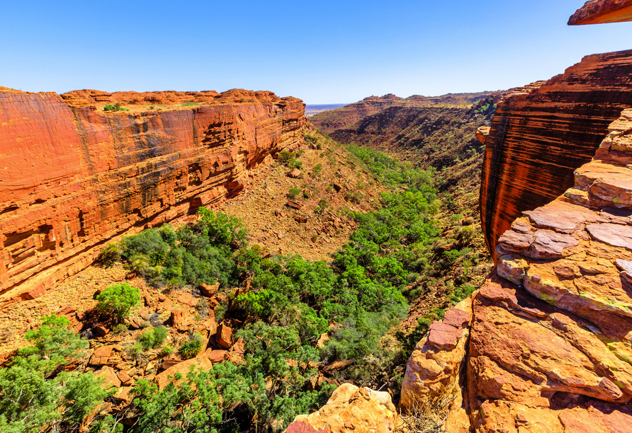 Der Kings Canyon ist ein weiterer Höhepunkt Ihrer Rundreise durch Australien.