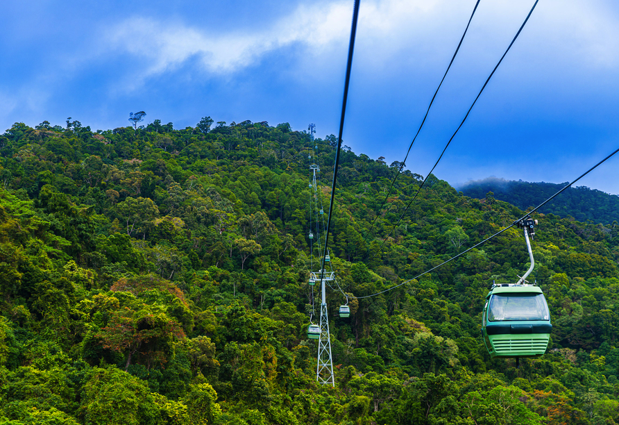 Freuen Sie sich auf unvergessliche Ausblicke bei der Fahrt über den Regenwald mit dem Skyrail.