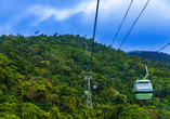 Freuen Sie sich auf unvergessliche Ausblicke bei der Fahrt über den Regenwald mit dem Skyrail.