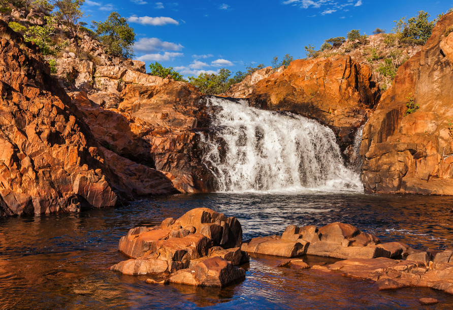 Die beeindruckenden Edith Falls werden Ihnen in Erinnerung bleiben.