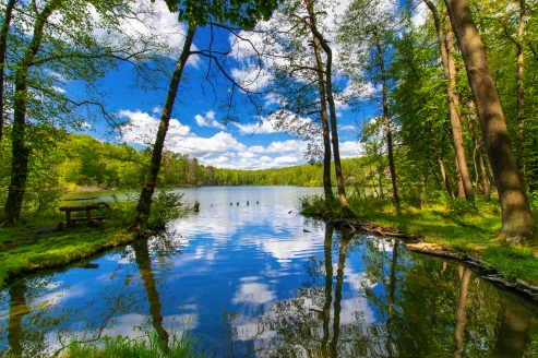 Der angrenzende Schermützelsee verzaubert Sie mit seinem wundervoll blauen Wasser.