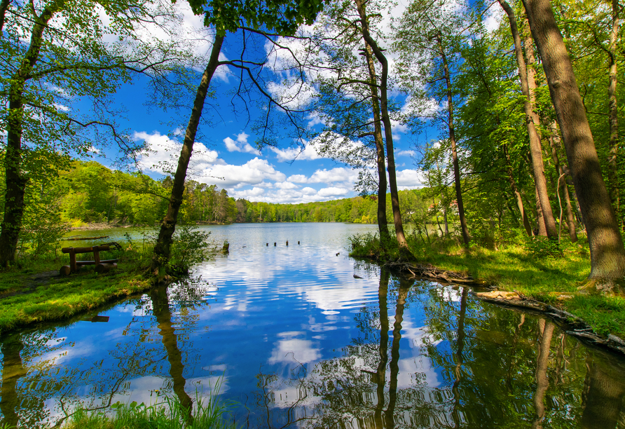 Der angrenzende Schermützelsee verzaubert Sie mit seinem wundervoll blauen Wasser.