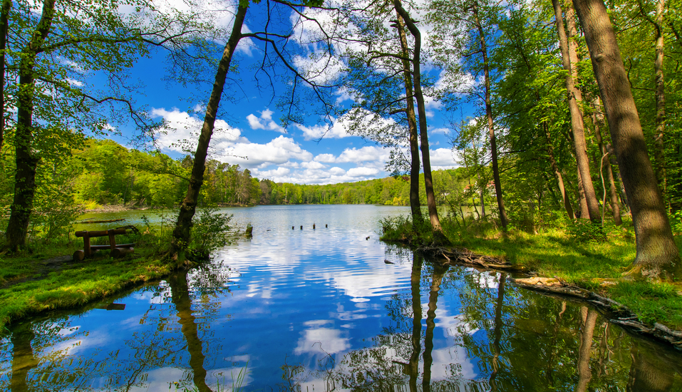 Der angrenzende Schermützelsee verzaubert Sie mit seinem wundervoll blauen Wasser.