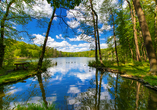 Der angrenzende Schermützelsee verzaubert Sie mit seinem wundervoll blauen Wasser.