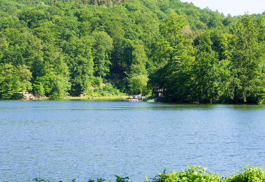 Der Wiesenbeker Teich lädt zu erfrischenden Momenten inmitten wunderschöner Natur ein.