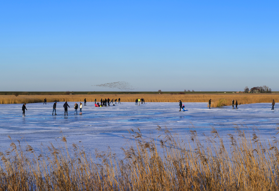 Hier können Sie sogar Schlittschuhfahren: im Winter auf Leyhörn.