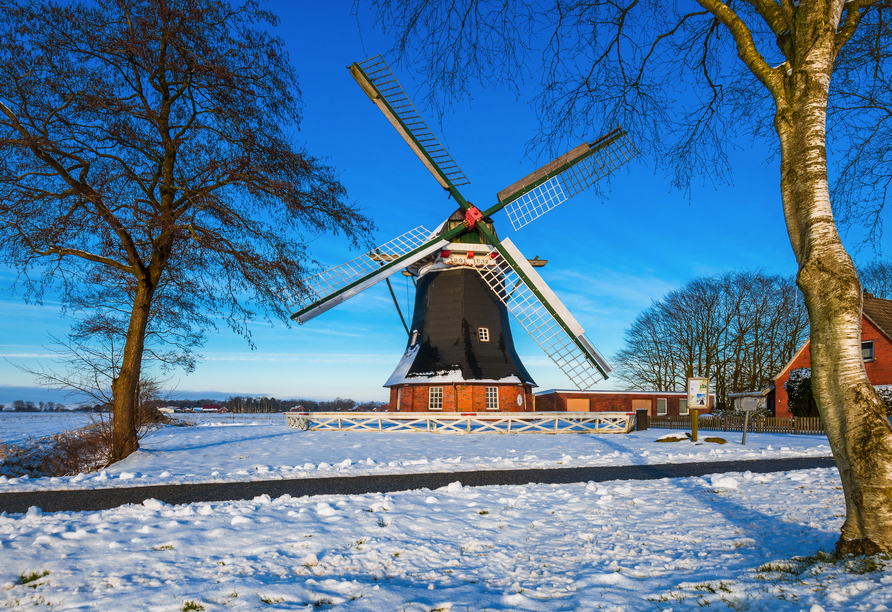 Freuen Sie sich auf Windmühlen im Winterkleid.