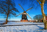 Freuen Sie sich auf Windmühlen im Winterkleid.