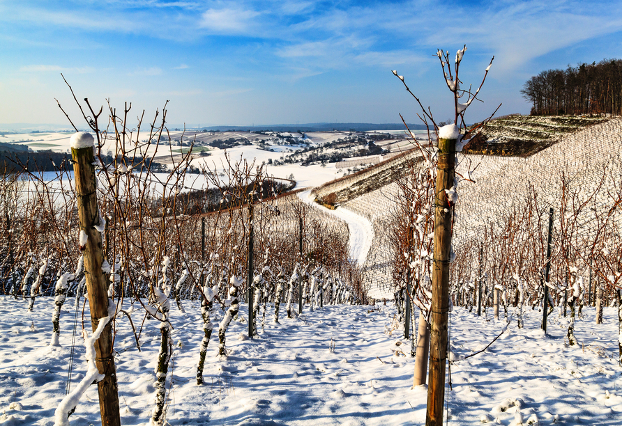 Wenn das Kraichgau sein Winterkleid trägt, zeigt sich die Region von ihrer stillen, märchenhaften Seite.
