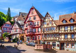 Die malerische Fachwerkidylle in Miltenburg mit ihren historischen Häusern und charmanten Gassen wirkt beinahe wie aus einem Bilderbuch.