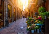 Zwischen historischen Fassaden und bunten Blumen entfaltet Bologna sein lebendiges Altstadtflair.