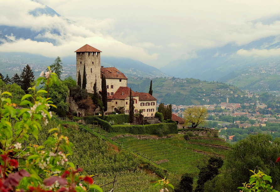 Schloss Lebenberg: ein traditionsreiches Schloss, das mit seinem Anblick und seiner Geschichte beeindruckt.