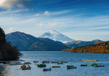 Sie unternehmen eine Bootsfahrt auf dem Ashinoko-See, bei der sich bei guter Sicht eindrucksvolle Blicke auf den majestätischen Fuji eröffnen.
