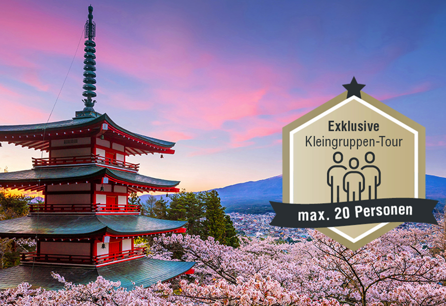 Freuen Sie sich auf eindrucksvolle Motive wie den Fuji Vulkan.