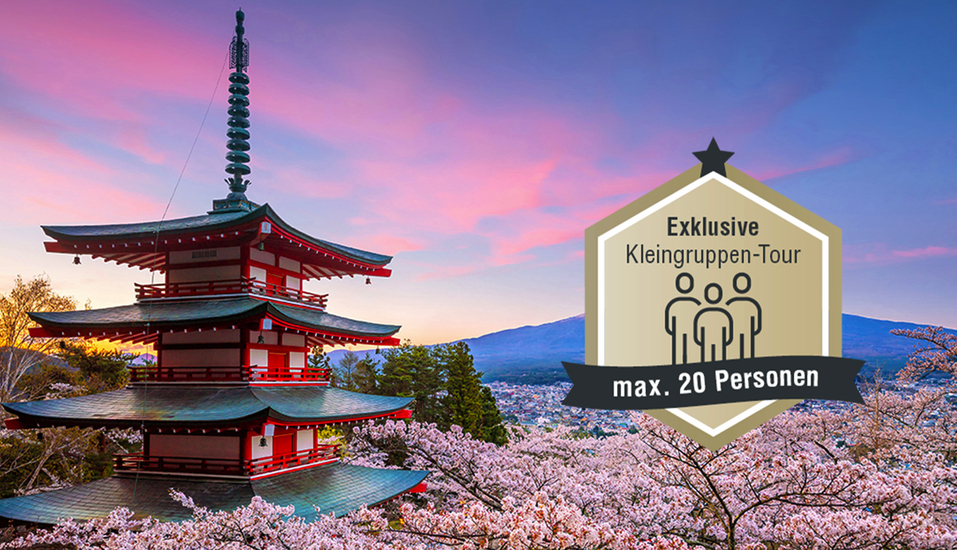 Freuen Sie sich auf eindrucksvolle Motive wie den Fuji Vulkan.