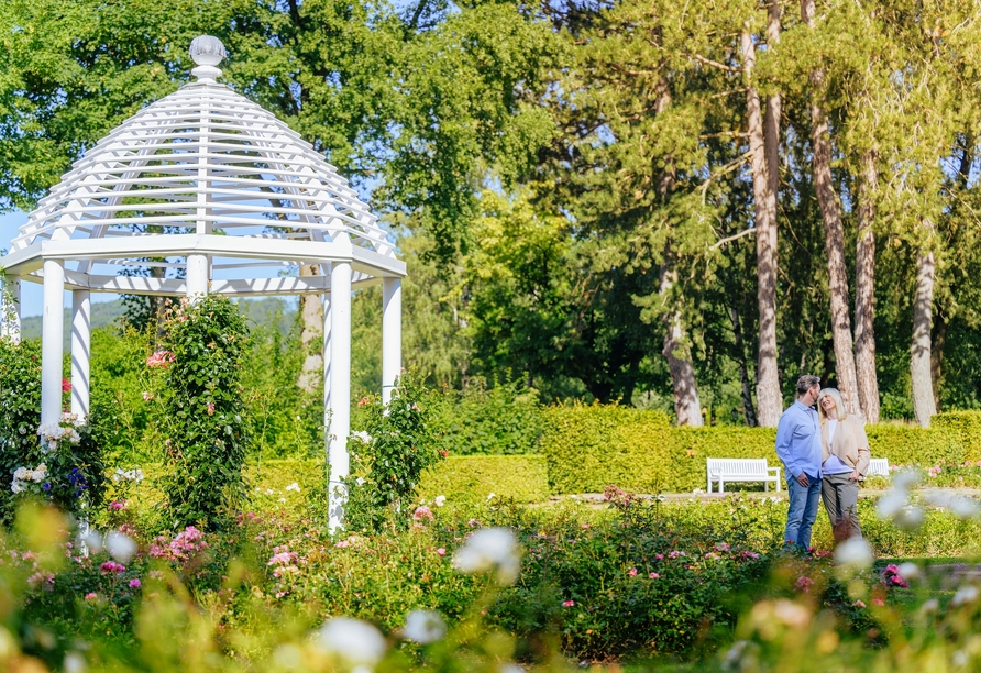 Wie wäre es mit einem Spaziergang durch den historischen Gräflichen Park?