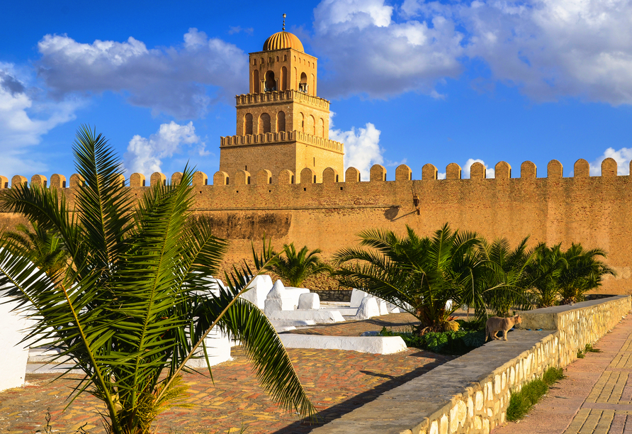 Kairouan gilt als eine der heiligsten Städte der islamischen Welt und verzaubert mit ihrer eindrucksvollen Großen Moschee.