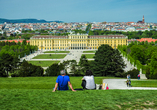 Auf der Wiese vor Schönbrunn finden Sie Ruhe abseits vom Trubel und gleichzeitig ein erstaunliches Panorama.