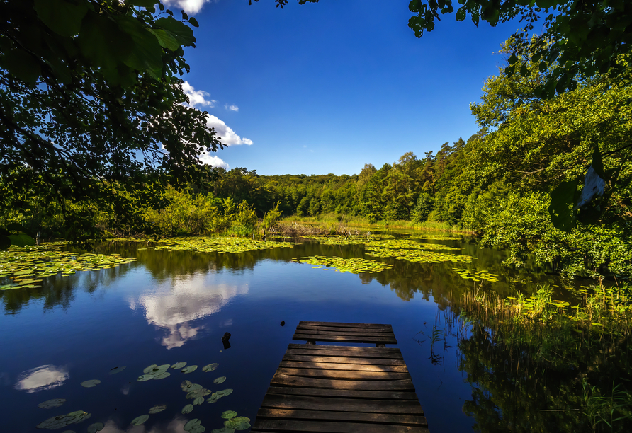 Der Nationalpark auf der Insel Wolin lädt zum Verweilen ein.